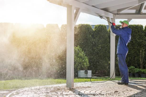 Best Roof Washing  in Patterson, CA