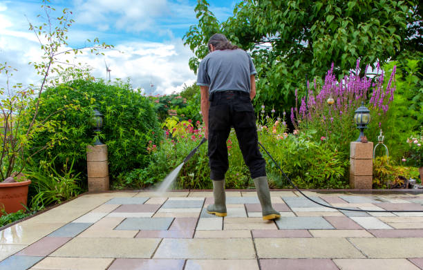 Best Restaurant Pressure Washing  in Patterson, CA